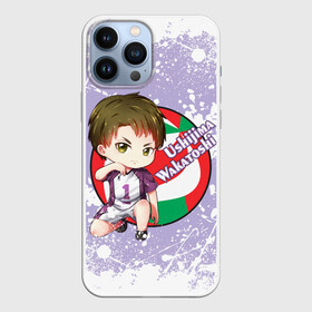 Чехол для iPhone 13 Pro Max с принтом Ushijima Wakatoshi | Haikyu | Волейбол (Z) в Екатеринбурге,  |  | Тематика изображения на принте: haikuu | haikyu | haikyuu | ushijima wakatoshi | волейбол | маленький гигант | сёё | сёё хината | спортивная манга | хайку | хайкю | хината