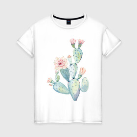 Женская футболка хлопок с принтом Нежный акварельный кактус  в Екатеринбурге, 100% хлопок | прямой крой, круглый вырез горловины, длина до линии бедер, слегка спущенное плечо | акварель | кактус | колючий | нежный акварельный кактус | растение | цветок