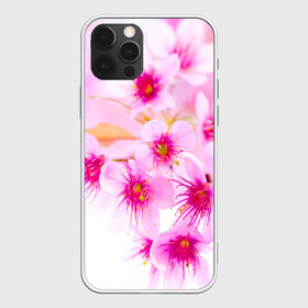 Чехол для iPhone 12 Pro с принтом Весеннее цветение вишни в Екатеринбурге, силикон | область печати: задняя сторона чехла, без боковых панелей | Тематика изображения на принте: бутоны | весна | девушкам | красивые | розовые | сакура | цветение | цветы | яблоня