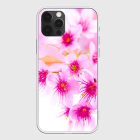 Чехол для iPhone 12 Pro Max с принтом Весеннее цветение вишни в Екатеринбурге, Силикон |  | Тематика изображения на принте: бутоны | весна | девушкам | красивые | розовые | сакура | цветение | цветы | яблоня