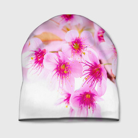 Шапка 3D с принтом Весеннее цветение вишни в Екатеринбурге, 100% полиэстер | универсальный размер, печать по всей поверхности изделия | бутоны | весна | девушкам | красивые | розовые | сакура | цветение | цветы | яблоня