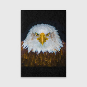 Обложка для паспорта матовая кожа с принтом Белоголовый орлан в Екатеринбурге, натуральная матовая кожа | размер 19,3 х 13,7 см; прозрачные пластиковые крепления | грозный | красивый | опасный | орлан | пернатый | птица | хищный