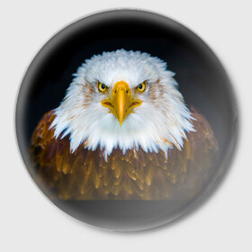 Значок с принтом Белоголовый орлан в Екатеринбурге,  металл | круглая форма, металлическая застежка в виде булавки | грозный | красивый | опасный | орлан | пернатый | птица | хищный