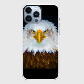 Чехол для iPhone 13 Pro Max с принтом Белоголовый орлан в Екатеринбурге,  |  | грозный | красивый | опасный | орлан | пернатый | птица | хищный