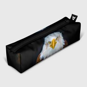 Пенал школьный 3D с принтом Белоголовый орлан в Екатеринбурге, 100% полиэстер | плотная ткань, застежка на молнии | грозный | красивый | опасный | орлан | пернатый | птица | хищный