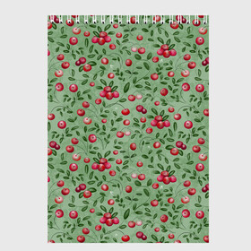 Скетчбук с принтом Клюква на болоте в Екатеринбурге, 100% бумага
 | 48 листов, плотность листов — 100 г/м2, плотность картонной обложки — 250 г/м2. Листы скреплены сверху удобной пружинной спиралью | бесшовный паттерн | болото | ботанический | в подарок | для детей | клюква | красный с зеленым | лес | осень | природа | цветной | ягоды | яркий