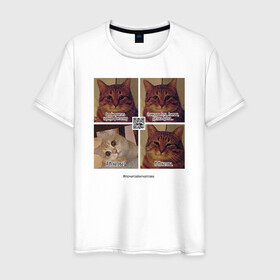 Мужская футболка хлопок с принтом Котики фантаста в Екатеринбурге, 100% хлопок | прямой крой, круглый вырез горловины, длина до линии бедер, слегка спущенное плечо. | cats | humour | joke | meme | sarcasm | writers | коты | мем | писатели | сарказм | юмор
