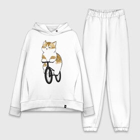Женский костюм хлопок Oversize с принтом Котик на велосипеде в Екатеринбурге,  |  | арт | велосипед | ветер | кот | котёнок | кошка | милая кошка | милый кот | милый котёнок | отдых | отдыхает | пончик | рисунок