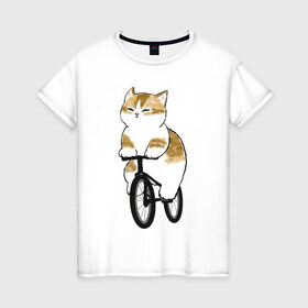 Женская футболка хлопок с принтом Котик на велосипеде в Екатеринбурге, 100% хлопок | прямой крой, круглый вырез горловины, длина до линии бедер, слегка спущенное плечо | арт | велосипед | ветер | кот | котёнок | кошка | милая кошка | милый кот | милый котёнок | отдых | отдыхает | пончик | рисунок