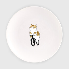 Тарелка с принтом Котик на велосипеде в Екатеринбурге, фарфор | диаметр - 210 мм
диаметр для нанесения принта - 120 мм | Тематика изображения на принте: арт | велосипед | ветер | кот | котёнок | кошка | милая кошка | милый кот | милый котёнок | отдых | отдыхает | пончик | рисунок