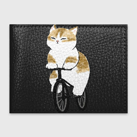 Обложка для студенческого билета с принтом Котик на велосипеде в Екатеринбурге, натуральная кожа | Размер: 11*8 см; Печать на всей внешней стороне | арт | велосипед | ветер | кот | котёнок | кошка | милая кошка | милый кот | милый котёнок | отдых | отдыхает | пончик | рисунок