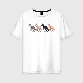 Женская футболка хлопок Oversize с принтом Сфинксы в Екатеринбурге, 100% хлопок | свободный крой, круглый ворот, спущенный рукав, длина до линии бедер
 | группа котов | домашние любимцы | животные | кот | коты | лысый кот | сфинкс