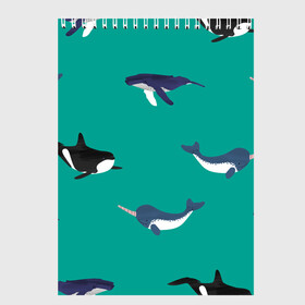 Скетчбук с принтом Нарвал, киты, касатка паттерн в Екатеринбурге, 100% бумага
 | 48 листов, плотность листов — 100 г/м2, плотность картонной обложки — 250 г/м2. Листы скреплены сверху удобной пружинной спиралью | изумрудно зеленый цвет | касатки | киты | морская фауна | морские животные | морские жители | нарвал | океан | паттерн