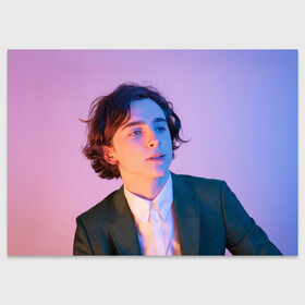 Поздравительная открытка с принтом Timothee Chalamet в Екатеринбурге, 100% бумага | плотность бумаги 280 г/м2, матовая, на обратной стороне линовка и место для марки
 | timothee chalamet | тимоти шаламе | фото