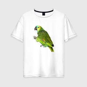 Женская футболка хлопок Oversize с принтом Попугайчик в Екатеринбурге, 100% хлопок | свободный крой, круглый ворот, спущенный рукав, длина до линии бедер
 | bird | parrot | wings | крылья | попугай | птица