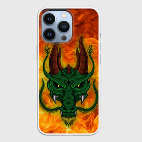 Чехол для iPhone 13 Pro с принтом Японский дракон | Japanese Dragon в Екатеринбурге,  |  | dragon | fire | japanese dragon | monster | драго | дракон | монстр | огнедыщащий | огонь | прикольная картинка | чудовище | японский дракон | ящерица