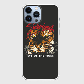 Чехол для iPhone 13 Pro Max с принтом Глаз Тигра в Екатеринбурге,  |  | eye of the tiger | hardrock | music | rock | tiger | глаз тигра | музыка | рок | тигр | хардрок