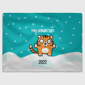 Плед 3D с принтом Уже новый год в Екатеринбурге, 100% полиэстер | закругленные углы, все края обработаны. Ткань не мнется и не растягивается | 2022 | год тигра | новый год | новый год 2022 | символ года | тигр | тигренок | тигрица | тигры