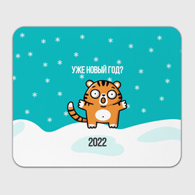 Прямоугольный коврик для мышки с принтом Уже новый год в Екатеринбурге, натуральный каучук | размер 230 х 185 мм; запечатка лицевой стороны | 2022 | год тигра | новый год | новый год 2022 | символ года | тигр | тигренок | тигрица | тигры