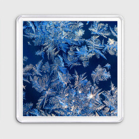 Магнит 55*55 с принтом Снежинки макро snowflakes macro в Екатеринбурге, Пластик | Размер: 65*65 мм; Размер печати: 55*55 мм | Тематика изображения на принте: christmas | macro | new year | snow | snowflakes | winter | вода | зима | зимний узор | макро | новогоднее настроение | новогодний узор | новый год | рождество | синий | снег | снежинки | холод