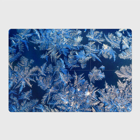 Магнитный плакат 3Х2 с принтом Снежинки макро snowflakes macro в Екатеринбурге, Полимерный материал с магнитным слоем | 6 деталей размером 9*9 см | Тематика изображения на принте: christmas | macro | new year | snow | snowflakes | winter | вода | зима | зимний узор | макро | новогоднее настроение | новогодний узор | новый год | рождество | синий | снег | снежинки | холод