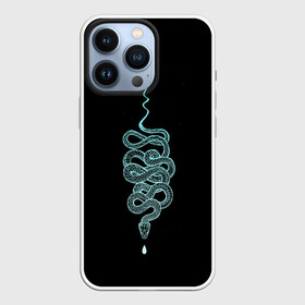 Чехол для iPhone 13 Pro с принтом вьющаяся змея в Екатеринбурге,  |  | animal | blue | curly | dangerous | deadly | ghostly | phobia | reptile | snake | вьющаяся | голубая | животное | змея | опаснавя | призрачная | фобия
