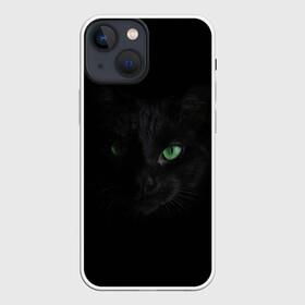 Чехол для iPhone 13 mini с принтом Хочу быть кошкой в Екатеринбурге,  |  | Тематика изображения на принте: cat | глаза кошки | зеленоглазая кошка | кот | кошка