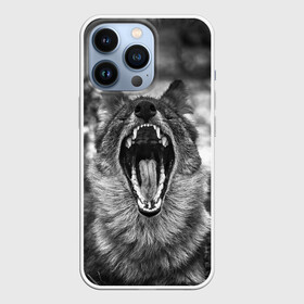 Чехол для iPhone 13 Pro с принтом Волчья пасть, зевает в Екатеринбурге,  |  | wolf | wolfs | волк | волка | волки | волчара | волчья | животные | звери | зевает | лес | оскал | пасть | природа