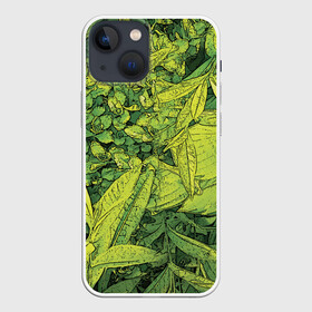 Чехол для iPhone 13 mini с принтом Растительная жизнь   Хоста в Екатеринбурге,  |  | весенний | зеленый | листья | растения | салатовый | свежий | хоста | цветы