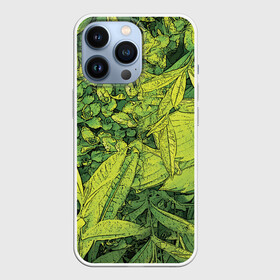 Чехол для iPhone 13 Pro с принтом Растительная жизнь   Хоста в Екатеринбурге,  |  | весенний | зеленый | листья | растения | салатовый | свежий | хоста | цветы