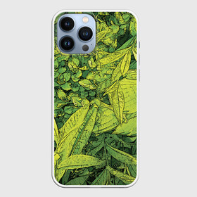 Чехол для iPhone 13 Pro Max с принтом Растительная жизнь   Хоста в Екатеринбурге,  |  | весенний | зеленый | листья | растения | салатовый | свежий | хоста | цветы