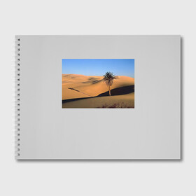 Альбом для рисования с принтом Пустыня в Екатеринбурге, 100% бумага
 | матовая бумага, плотность 200 мг. | пустынякрасивая пустыняприродапейзаж