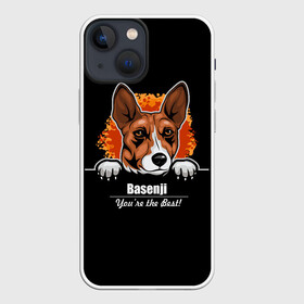 Чехол для iPhone 13 mini с принтом Басенджи (Basenji) в Екатеринбурге,  |  | african dog | animal | basenji | congo terrier | dog | африканская собака | басенджи | год собаки | друг человека | животное | зверь | кинолог | конго терьер | пёс | собака басенджи | собаковод | четвероногий