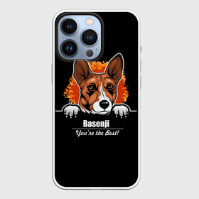 Чехол для iPhone 13 Pro с принтом Басенджи (Basenji) в Екатеринбурге,  |  | african dog | animal | basenji | congo terrier | dog | африканская собака | басенджи | год собаки | друг человека | животное | зверь | кинолог | конго терьер | пёс | собака басенджи | собаковод | четвероногий