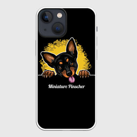 Чехол для iPhone 13 mini с принтом Пинчер (Miniature Pinscher) в Екатеринбурге,  |  | animal | dog | german pinscher | min pi | miniature pinscher | pinscher | год собаки | друг человека | животное | зверь | кинолог | мин пин | миниатюрный пинчер | немецкий пинчер | пёс | пинчер | порода собак | собака