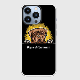 Чехол для iPhone 13 Pro с принтом Бордоский Дог (Dogue de bordeaux) в Екатеринбурге,  |  | animal | dog | dogue de bordeaux | dogue de bordeaux mastiff | french mastiff | бордоский дог | год собаки | друг человека | животное | кинолог | пёс | порода собак | собака бордоский мастиф | собаковод | французский мастиф