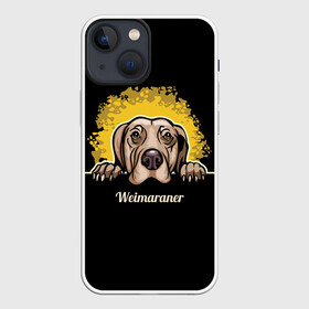 Чехол для iPhone 13 mini с принтом Веймаранер (Weimaraner) в Екатеринбурге,  |  | animal | dog | hunting dog | weimaraner | веймаранер | веймарская овчарка | год собаки | друг человека | животное | зверь | кинолог | легавая | охотничья собака | пёс | порода собак | собака | собака веймаранер