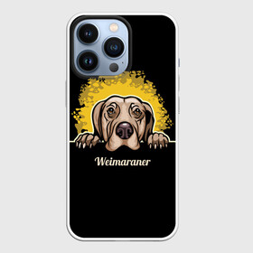 Чехол для iPhone 13 Pro с принтом Веймаранер (Weimaraner) в Екатеринбурге,  |  | animal | dog | hunting dog | weimaraner | веймаранер | веймарская овчарка | год собаки | друг человека | животное | зверь | кинолог | легавая | охотничья собака | пёс | порода собак | собака | собака веймаранер