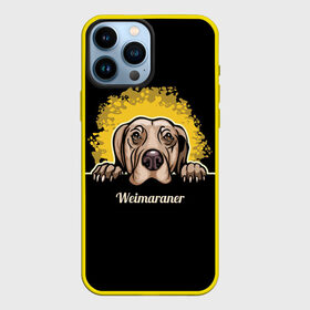 Чехол для iPhone 13 Pro Max с принтом Веймаранер (Weimaraner) в Екатеринбурге,  |  | animal | dog | hunting dog | weimaraner | веймаранер | веймарская овчарка | год собаки | друг человека | животное | зверь | кинолог | легавая | охотничья собака | пёс | порода собак | собака | собака веймаранер