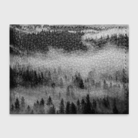Обложка для студенческого билета с принтом ТУМАННЫЙ ЛЕС | FOREST в Екатеринбурге, натуральная кожа | Размер: 11*8 см; Печать на всей внешней стороне | forest | деревья | дым | лес | мрачный лес | природа | туман