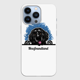 Чехол для iPhone 13 Pro с принтом Ньюфаундленд (Newfoundland) в Екатеринбурге,  |  | animal | diver dog | dog | newfoundland dog | год собаки | друг человека | животное | зверь | кинолог | ньюфаундленд | пёс | порода собак | собака | собака водолаз | собака ньюфаундленд | собаковод | щенок