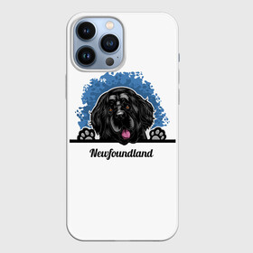 Чехол для iPhone 13 Pro Max с принтом Ньюфаундленд (Newfoundland) в Екатеринбурге,  |  | animal | diver dog | dog | newfoundland dog | год собаки | друг человека | животное | зверь | кинолог | ньюфаундленд | пёс | порода собак | собака | собака водолаз | собака ньюфаундленд | собаковод | щенок