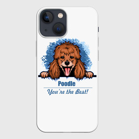 Чехол для iPhone 13 mini с принтом Собака Пудель (Poodle) в Екатеринбурге,  |  | dog | dog poodle | m | miniature poodle | poodle | poodle puppies | royal poodle | белый пудель | год собаки | друг человека | животное | зверь | карликовый пудель | кинолог | королевский пудель | мини пудель | пёс | пудель