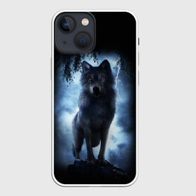Чехол для iPhone 13 mini с принтом ВОЛК БРОДЯГА в Екатеринбурге,  |  | animals | dark | gray | hunter | night | wolf | бродяга | волк | животные | звери | ночь | одиночка | охотник | серый | хищник
