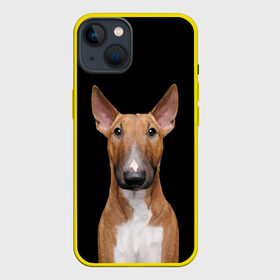 Чехол для iPhone 13 с принтом Строгий смелый взгляд в Екатеринбурге,  |  | Тематика изображения на принте: bull terrier | dog | ears | eyes | muzzle | view | бультерьер | взгляд | глаза | пёс | собака | уши