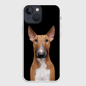Чехол для iPhone 13 mini с принтом Строгий смелый взгляд в Екатеринбурге,  |  | bull terrier | dog | ears | eyes | muzzle | view | бультерьер | взгляд | глаза | пёс | собака | уши