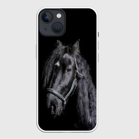 Чехол для iPhone 13 с принтом Лошадь на черном фоне в Екатеринбурге,  |  | восход | животные | закат | звери | кони | конь | коняшка | лошади | лошадка | лошадь | на восходе | на закате | пони | природа | солнце
