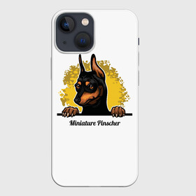 Чехол для iPhone 13 mini с принтом Мини Пинчер в Екатеринбурге,  |  | animal | dog | german pinscher | min pi | miniature pinscher | pinscher | год собаки | друг человека | животное | зверь | кинолог | мин пин | миниатюрный пинчер | немецкий пинчер | пёс | пинчер | порода собак | собака