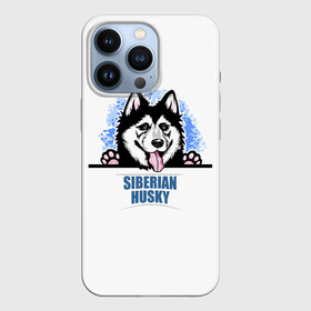 Чехол для iPhone 13 Pro с принтом Сибирский Хаски (Siberian Husky) в Екатеринбурге,  |  | ani | dog | husky | siberian husky | wolf | аляскинский маламут | волк | год собаки | друг человека | ездовая собака | животное | зверь | ищейка | кинолог | кость | лайка | пёс | сибирский хаски | сибирь | собака