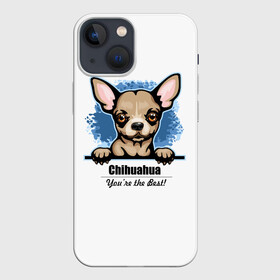 Чехол для iPhone 13 mini с принтом Собачка Чихуахуа в Екатеринбурге,  |  | animal | chihuahua | dog | год собаки | друг человека | животное | зверь | карликовая собачка | карманная собачка | кинолог | маленькая собака | пёс | пёсик | собака чихуахуа | собаковод | четвероногий